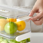 Caixa de armazenamento para frigorífico em PET alimentar, camada simples ou dupla