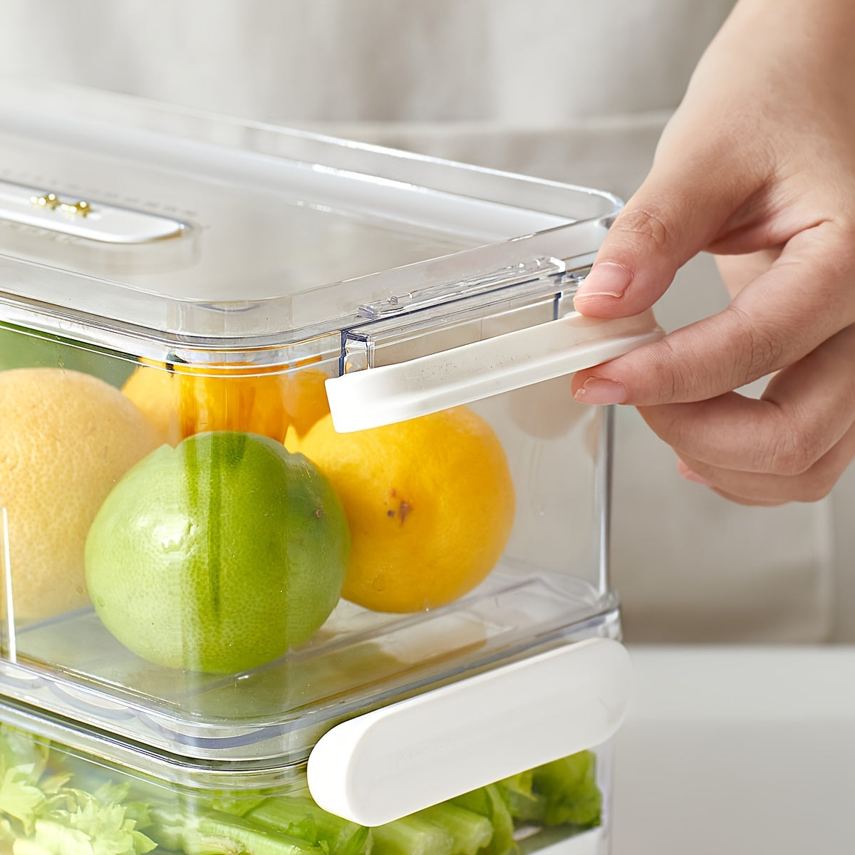 Caixa de armazenamento para frigorífico em PET alimentar, camada simples ou dupla