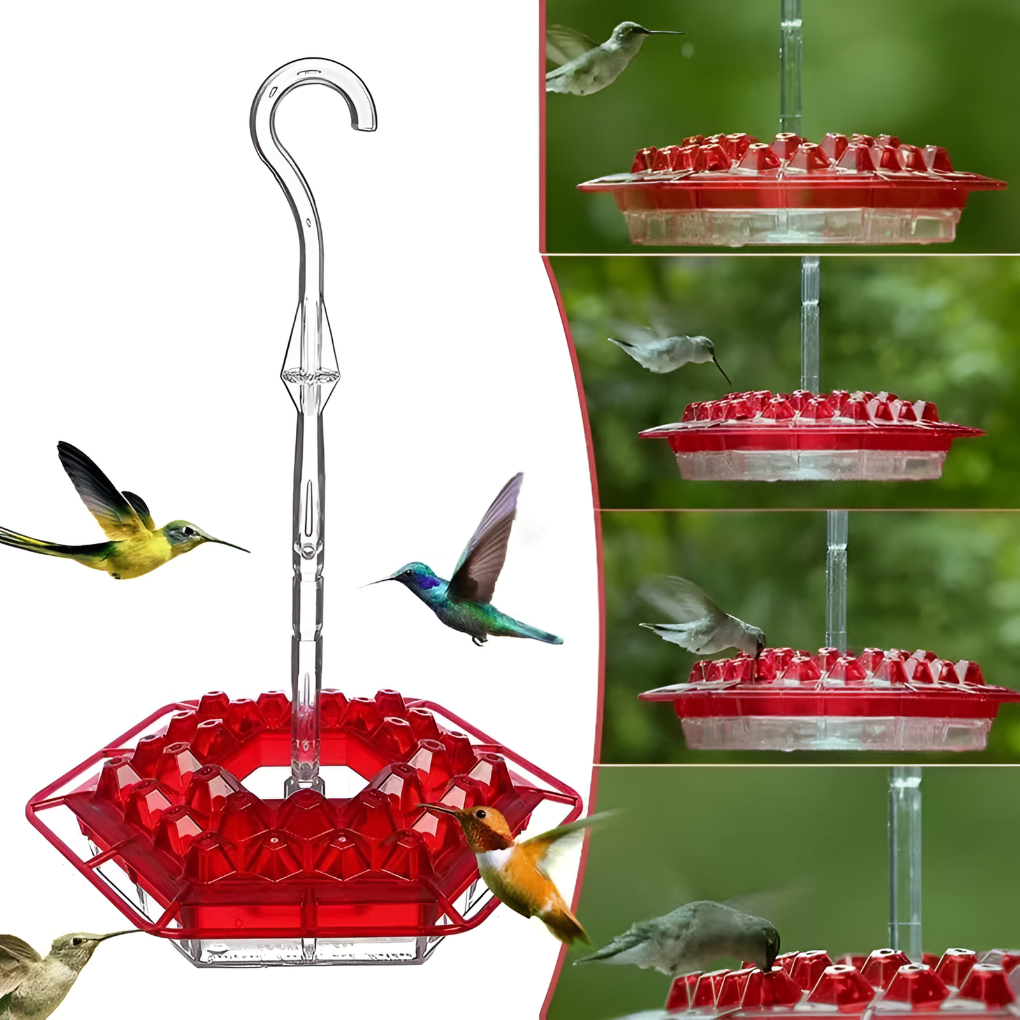 Comedouro para beija-flor antiformigas com 30 portas hexagonais e fosso integrado