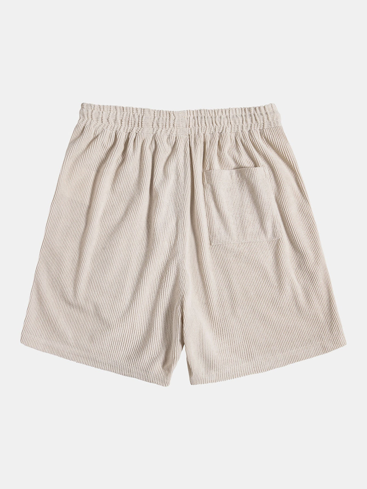 Conjunto feminino 2 peças camisa manga curta e calça casual coordenado