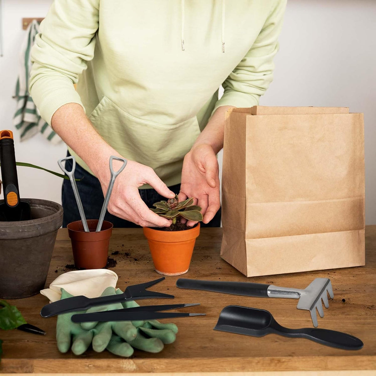 Kit de ferramentas para suculentas 12 em 1 com bolsa de armazenamento em linho para jardinagem interior