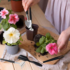 Kit de ferramentas para suculentas 12 em 1 com bolsa de armazenamento em linho para jardinagem interior