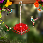 Comedouro para beija-flor antiformigas com 30 portas hexagonais e fosso integrado