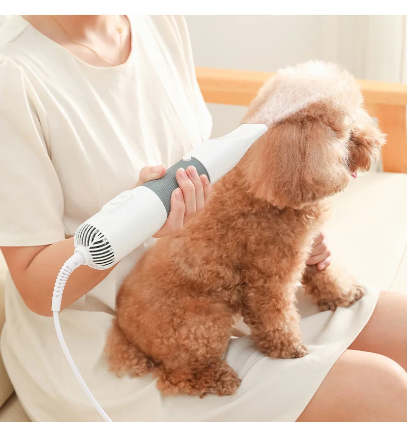 Secador de pelo para cães 3 em 1 com escova e pente intercambiáveis, temperatura ajustável
