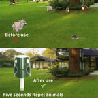 Repelente de animais ultrassônico 360° 3 em 1 para gatos, cães, raposas e roedores