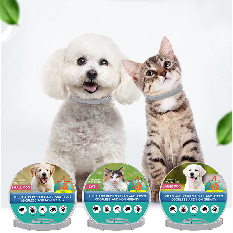 Coleira antipulgas e anticarrapatos bio para cães e gatos ingredientes naturais impermeável
