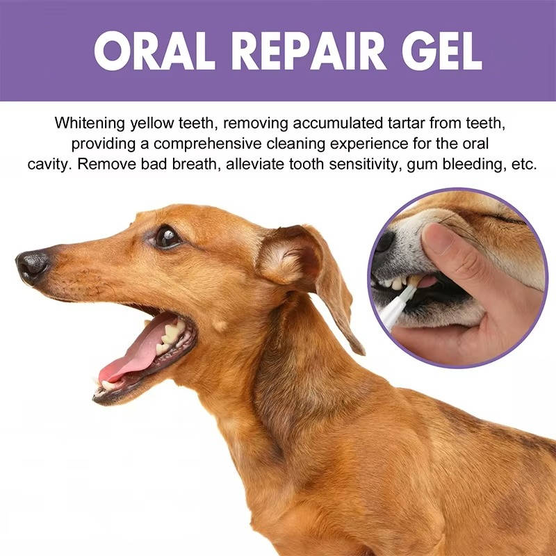 Gel oral reparador para cães kit com 3 unidades, antibacteriano e branqueador