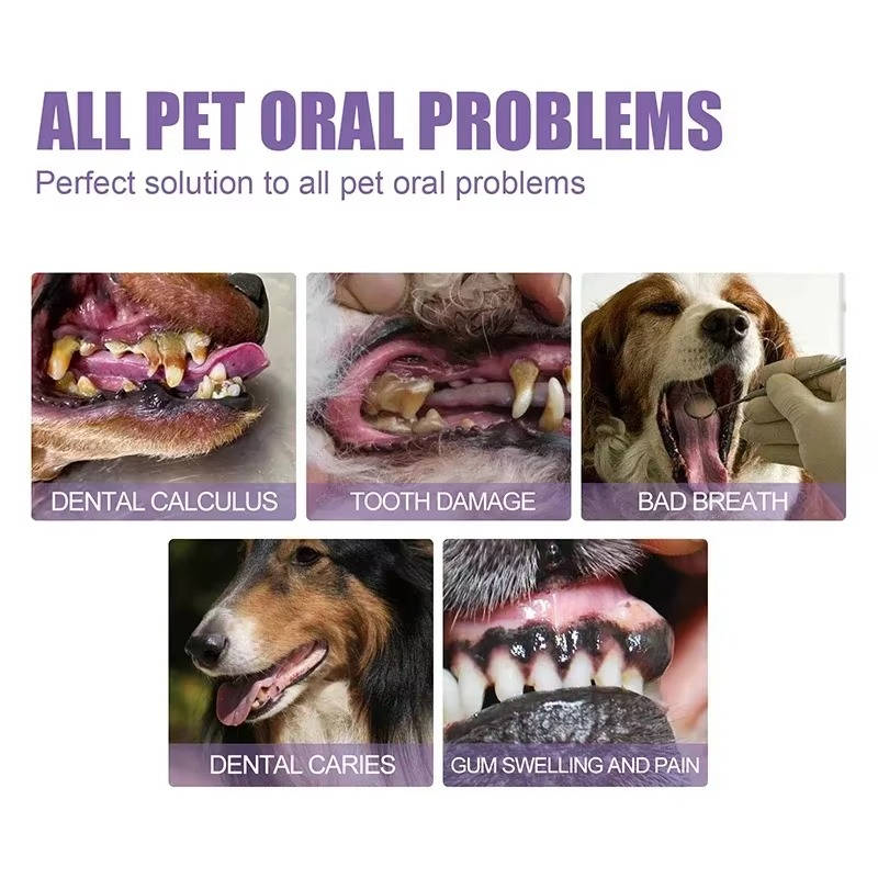 Gel oral reparador para cães kit com 3 unidades, antibacteriano e branqueador