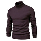 Camisola gola alta homem corte clássico regular em várias cores
