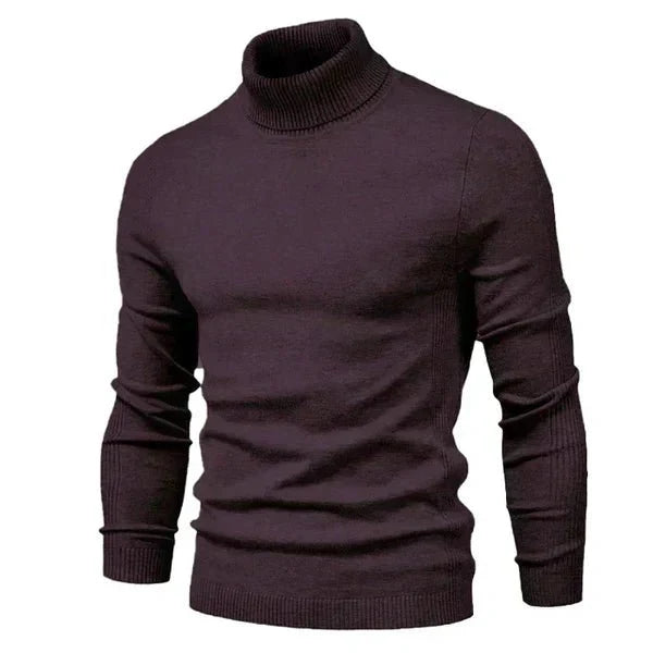Camisola gola alta homem corte clássico regular em várias cores