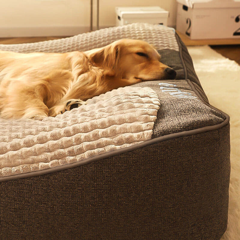 Cama ortopédica para cães grande em memory foam com almofada cervical elevada em veludo