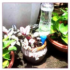 Picos de rega automática pack 12 unidades com fluxo ajustável para plantas em vaso