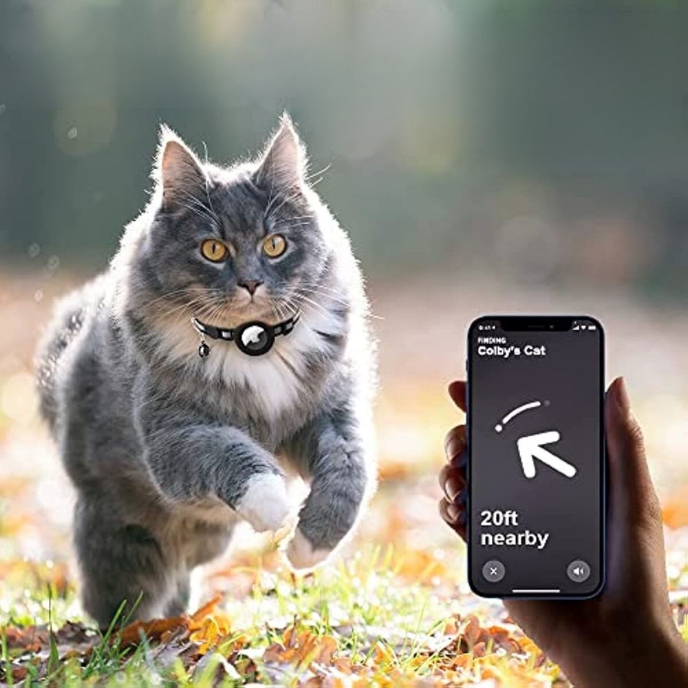 Coleira GPS para Gatos refletiva com fecho de libertação rápida e suporte para rastreador