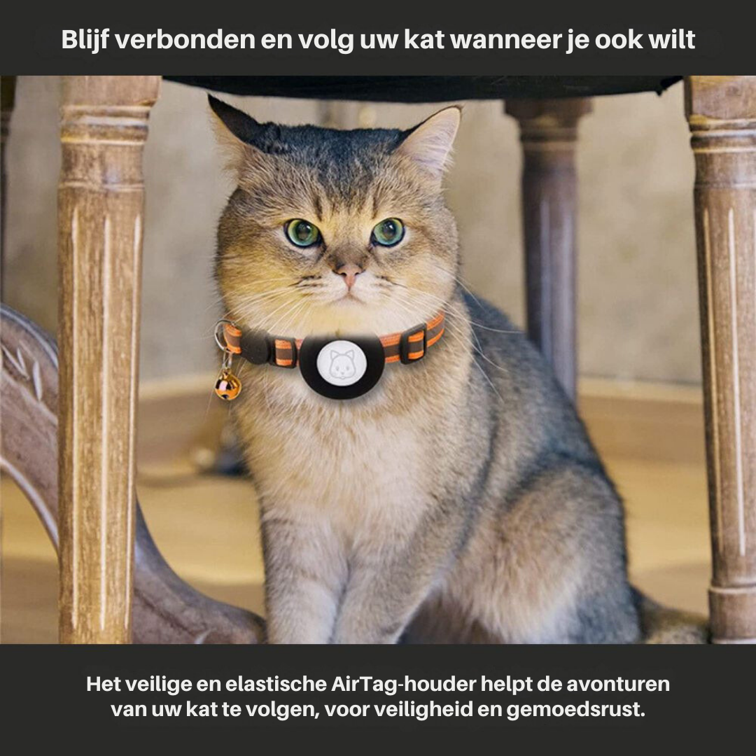 Coleira GPS para Gatos refletiva com fecho de libertação rápida e suporte para rastreador